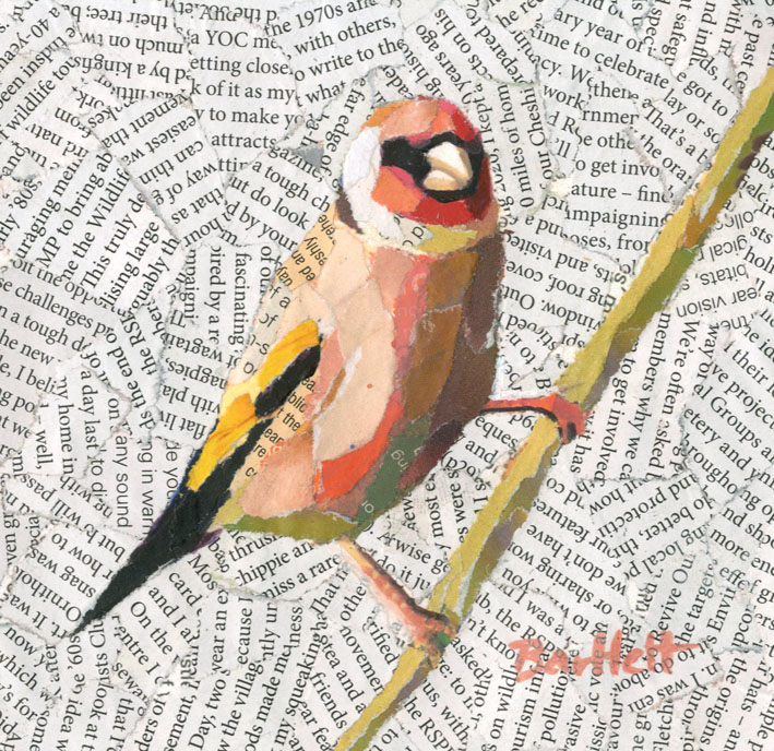'Goldfinch Perched' by artist Paul Bartlett SWLA
